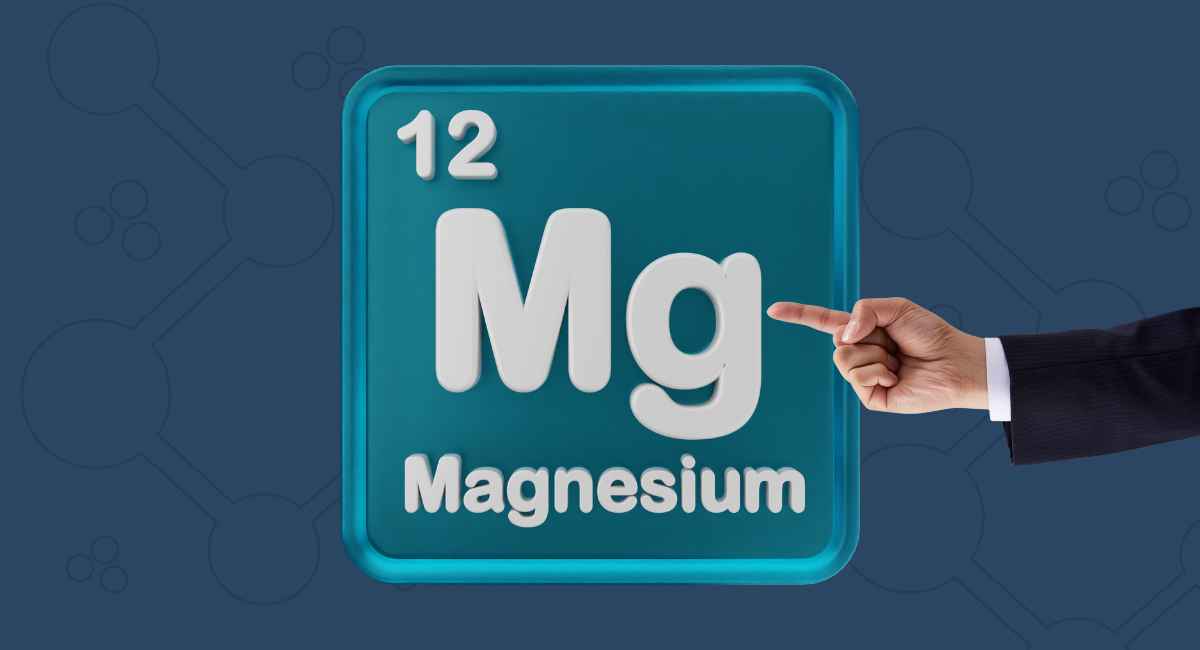 E- principal blog foto (2)